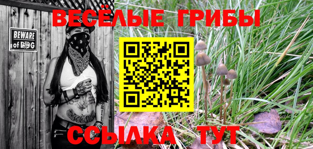 Галлюциногенные грибы мицелий  Псилоцибиновые грибы MAGIC MUSHROOMS  Петропавловск-Камчатский  Вход с VPN 
